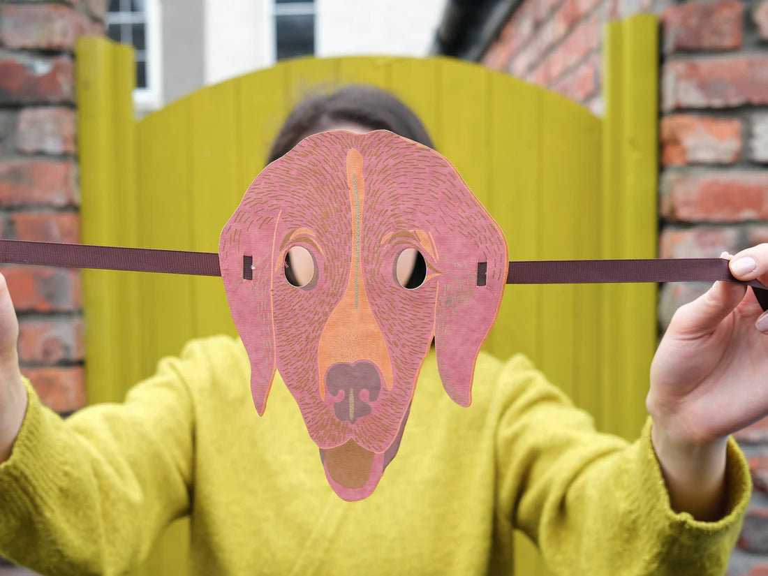 Animal Fancy Dress Mask Set