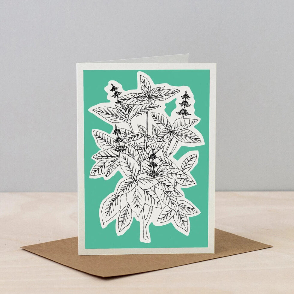 All Occasions Greeting Card - Line Herbs Green